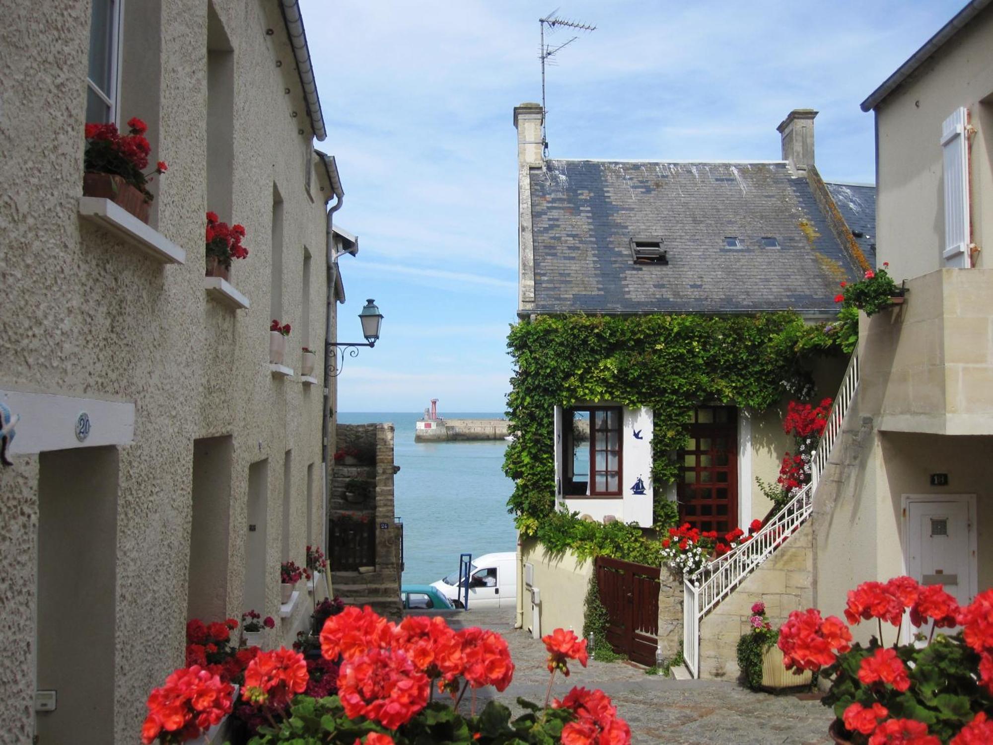 Gite "Au P'Tit Tourois" De Plain-Pied Tout Confort Avec Veranda Proche D'Omaha Beach Et De Bayeux Accueillant Les Animaux Exteriör bild